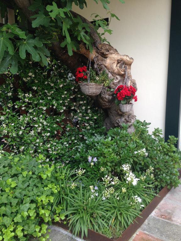 Casa La Ringhera Cesano Maderno Εξωτερικό φωτογραφία